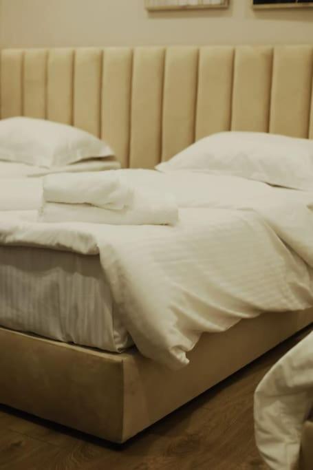 Grandpa House App.1 Apartment Tiranë Ngoại thất bức ảnh